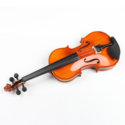 Violin 4/4 Full Size with Case, Bow, Bridge and Rosin