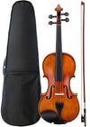 Violin 4/4 Full Size with Hard Case, Bow, Bridge and Rosin + Optional Accessories