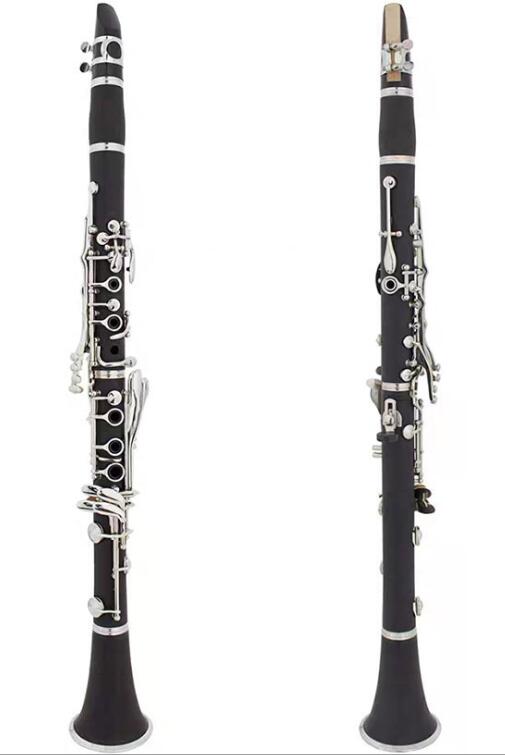Clarinet 17 Key Bb Flat Student Accessory Kit Case Reed Gloves Cloth