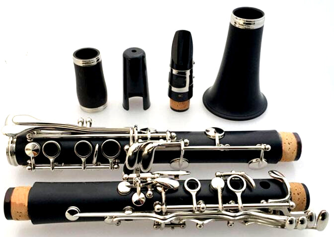 Clarinet 17 Key Bb Flat Student Accessory Kit Case Reed Gloves Cloth