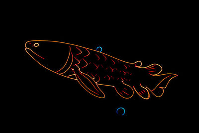 Event Lighting LASER5.3W40K 5.3w Full Colour Animation and Scanning Laser