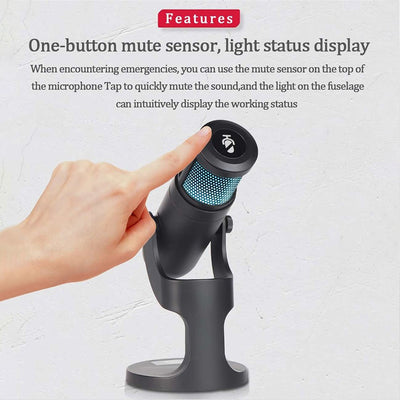RGB Color Metal Condenser Microphone for Gaming Live Chat Sing Streaming on Pc Laptop with Usb Type-C Headphone Jack