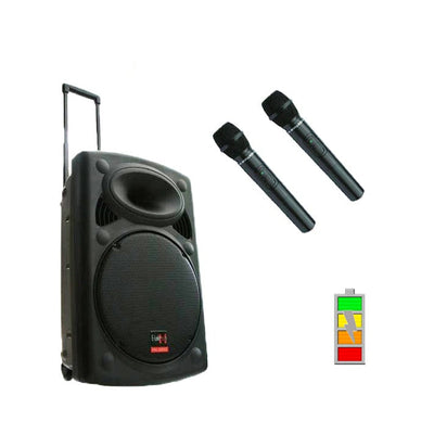 12″ Inch Bluetooth Portable Speaker 700w PA Sound System Battery + 2 Wireless Microphones