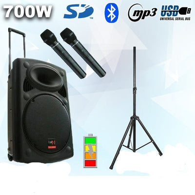 12″ Inch Portable Bluetooth Speaker Set 700w Mobile PA Sound System Battery + 2 Wireless Microphones + Stand