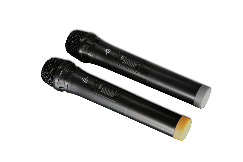 Wharfedale Pro EZ12A 12" Portable Bluetooth PA Active Speaker + 2x Wireless Microphones