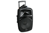 Wharfedale Pro EZ12A 12" Portable Bluetooth PA Active Speaker + 2x Wireless Microphones