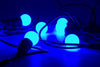 Event Lighting FESLED2BX12 - 2W E27 LED Globe (Blue) - Box of 12