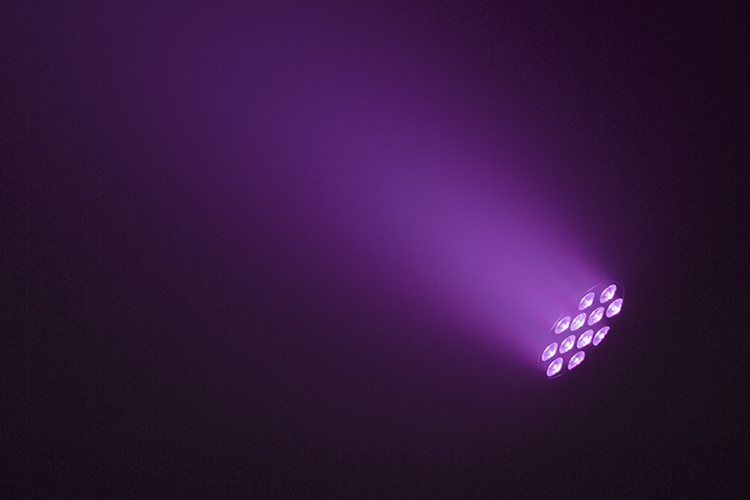 Event Lighting PARP12X8 - 12x8W RGBW PAR