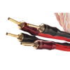Premium Banana Plugs – 4 Pack