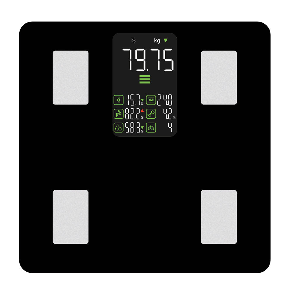 HALO Bluetooth Smart Display Body Scale
