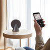 Lexon Conic 360 Bluetooth Speaker - Grey