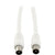 FL59Q-2PPW 2M RG59QUAD PAL FLYLEAD PAL PLUG TO PAL PLUG WHITE PRO2