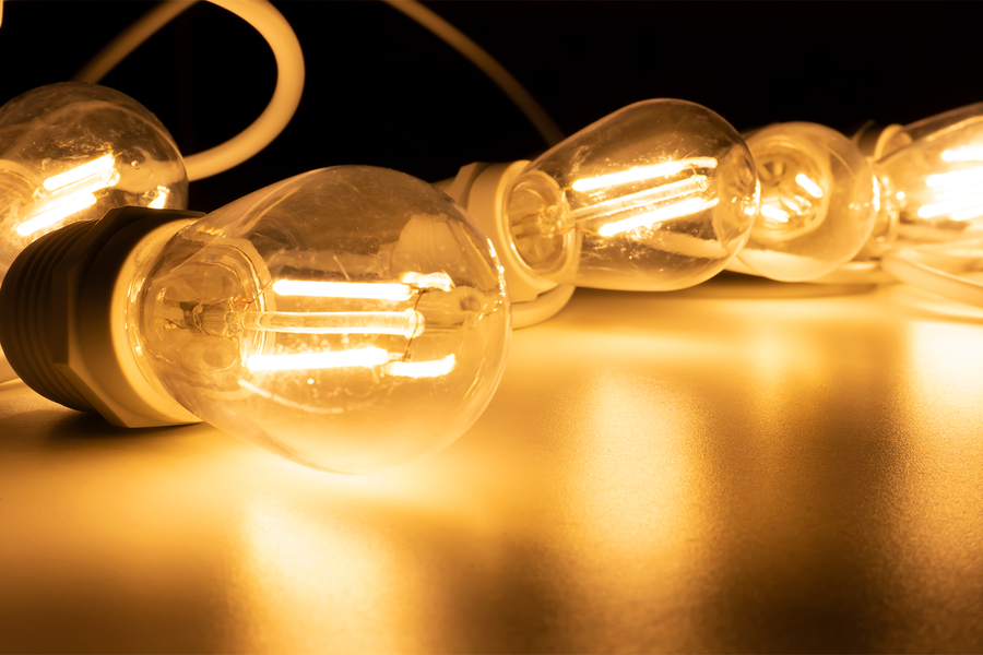 Event Lighting FES10WH - Festoon String 10m (White)