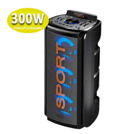 300w Bluetooth Portable Party Speaker Equalizer Mic Input Radio USB