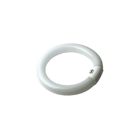 201320 CIRCULAR 16