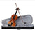 Violin 4/4 Full Size with Hard Case, Bow, Bridge and Rosin + Optional Accessories
