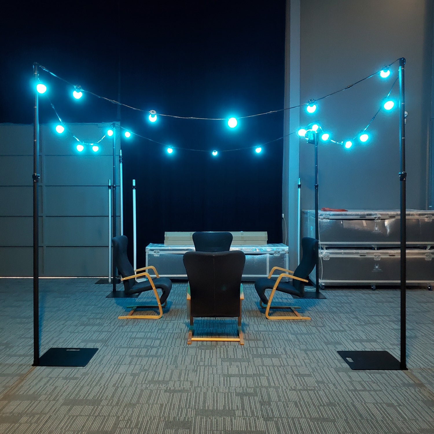 CR Lite Dream Color Magik Festoon Light RGB String 20 Bulbs Pixel Control