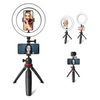 8" LED Ring Light Mini Tripod Stand Kit with Universal Phone Holder & Remote Shutter