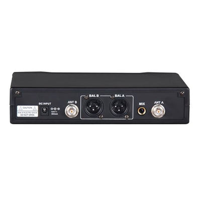 Dual Wireless Microphone System 2x Professional Cordless Mic Karaoke Vocal Stage