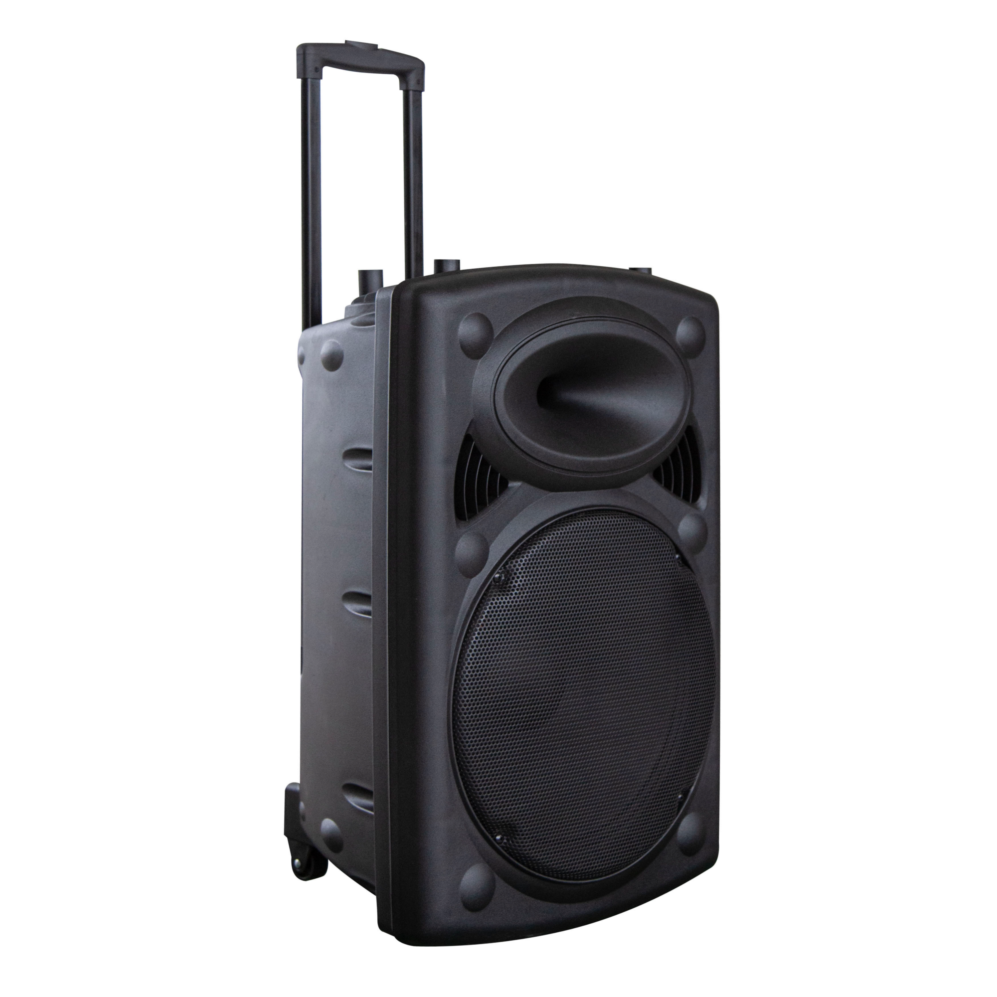 15" inch PA Speaker System 1000W 2x Cordless Mic Mixer Battery Bluetooth MP3 USB