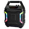 Bluetooth/Wireless 10W Speaker/FM Radio + Cordless Microphone Karaoke Party