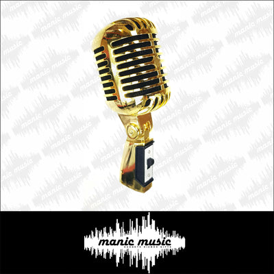Classic Vintage Dynamic Vocal Microphone Retro Style with XLR Cable. 3 colours Gold, Silver or Rose Gold