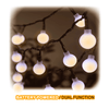 LED Globe Decorative Lights SANSAI GL-CC050WW
