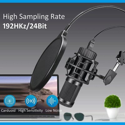 USB Condenser Microphone With Arm SANSAI PHM-5050
