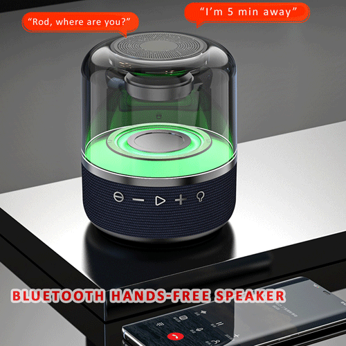 Bluetooth Portable Speaker TWS Function  SANSAI BT-X101